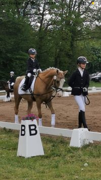 Lotte, Johanna und Lenny F&uuml;hrz&uuml;gelklasse in Steyerberg 5. Platz